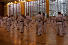 DSC05503