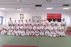 WLC-06-19