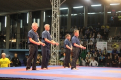 European Open Karate Championships Sosnowiec 29-30.11.2014