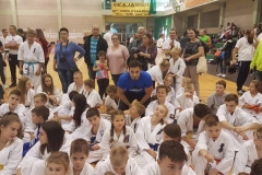 11bial