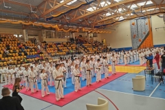162941775_4458738090822812_7984379990193675740_n