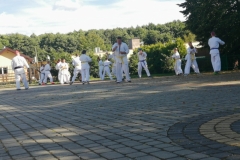 received_1210236322643353