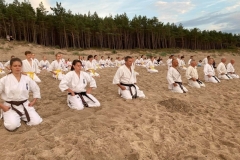 received_1607988259375229