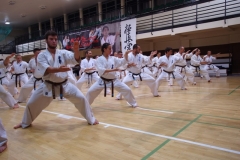 IMGP8191