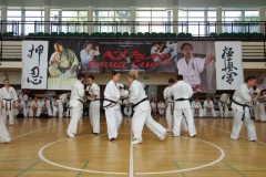 IMGP8930