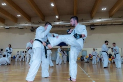 242232860_5018385081524774_4905002164785569296_n