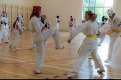 242310587_392168105629626_427975447016559903_n