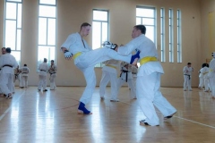 242367564_5018385211524761_968777227339587341_n