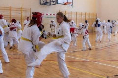 242372992_544154183522303_4749408403296070473_n