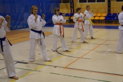 48360196_1135293953312121_8534630896584622080_n