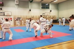 84149610_3281946751835291_5896710258813829120_o