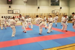 84275338_3281947005168599_8240445028585963520_o