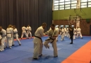 SPARINGI W WARSZAWIE 02-11-2019