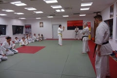 DOJO 28