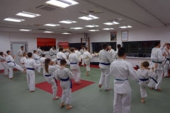 DOJO13