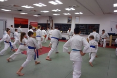 DOJO14