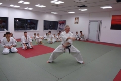 DOJO30