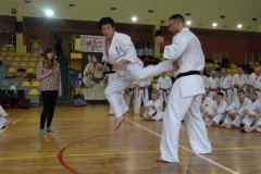 16997907_1631925860170730_7921134664201385019_n