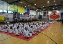 VI TURNIEJ KARATE KYOKUSHIN CIECHANÓW 08-10-2016