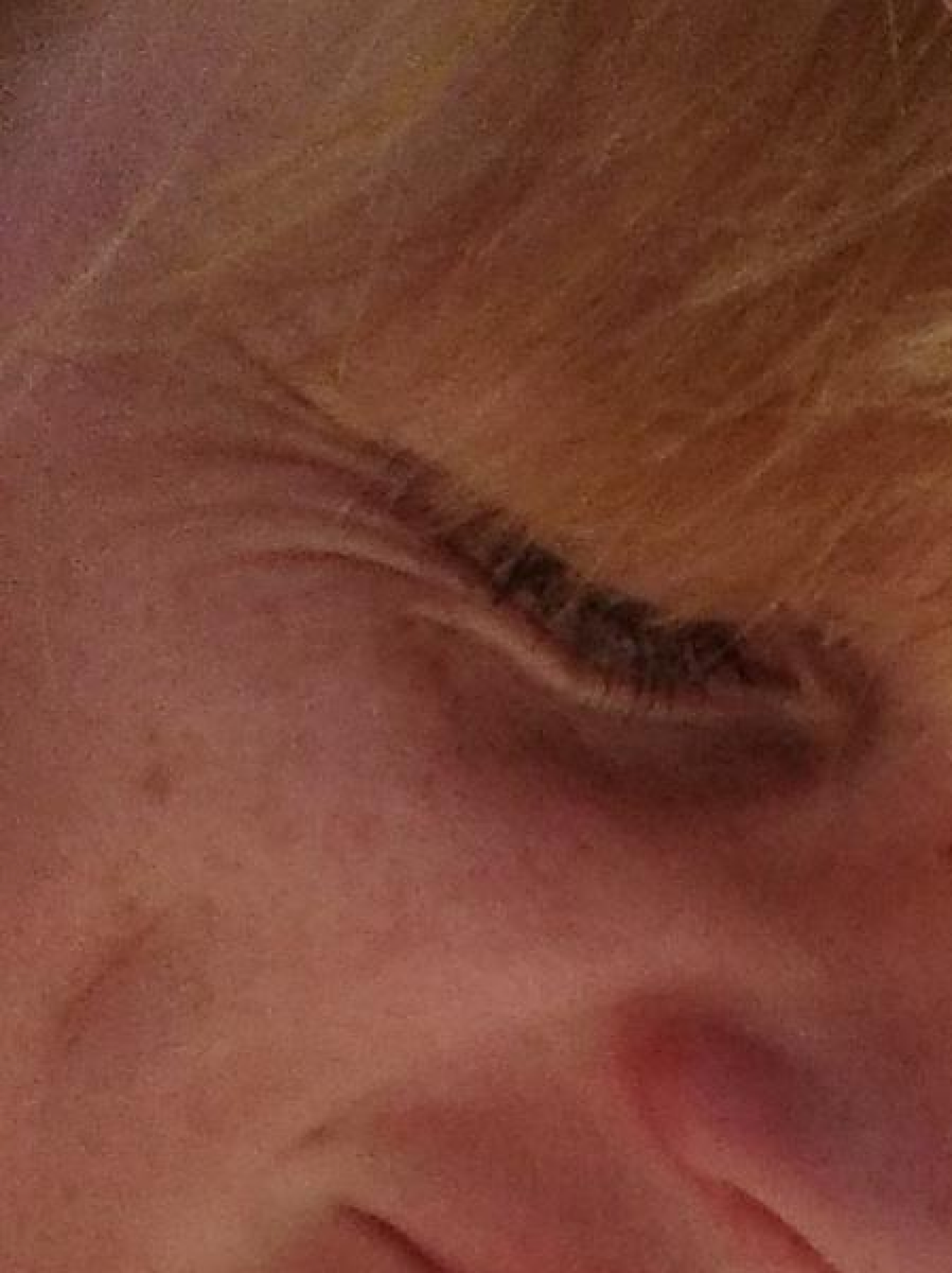 32503673_1923978487635658_597731144045166592_n