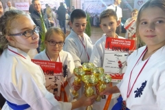 42792837_2373719245991384_854490259004588032_n