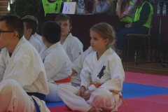 42812737_2373719579324684_3024828574742872064_n