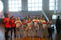 42864412_2373720212657954_7994325071604744192_n