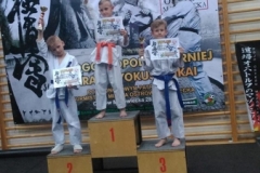 ostrow4